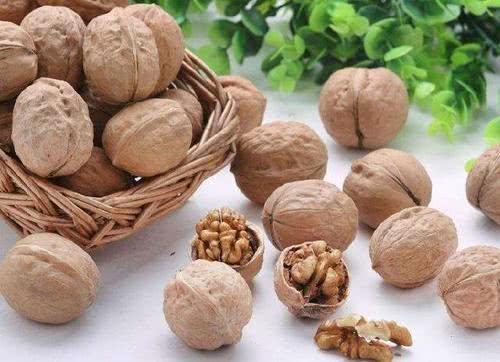 宅经济崛起,休闲零食迎来新风口