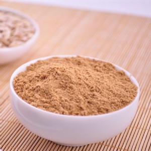 货代物流与代餐粉加工 行业动态与发展前景