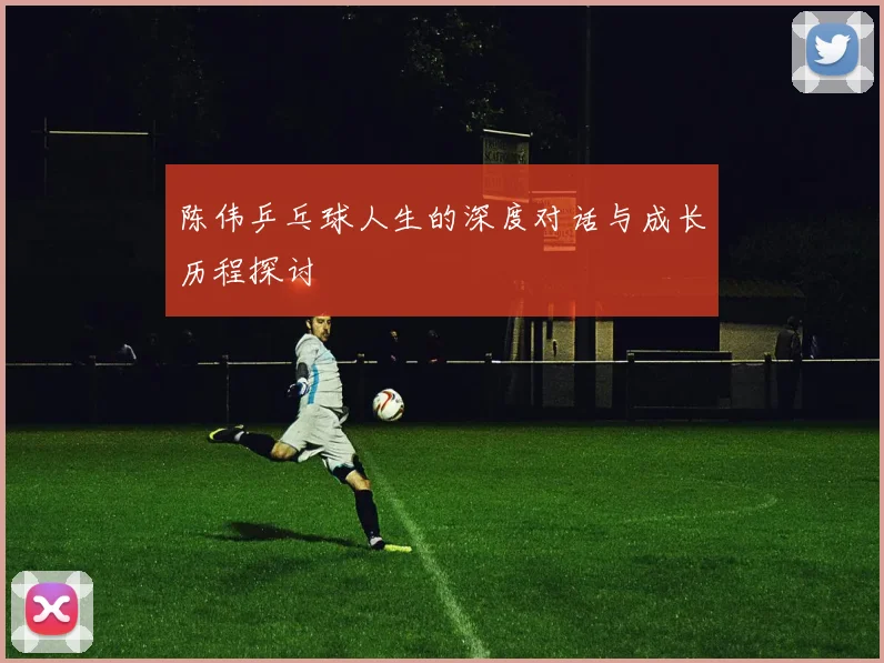陈伟乒乓球人生的深度对话与成长历程探讨